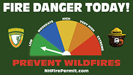 Graphic displaying low fire danger