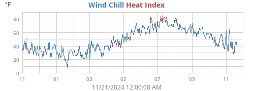 Wind Chill