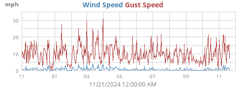 Wind Speed